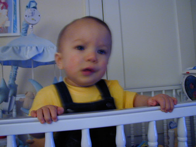 36150921.JPG, 6/15/2003, 47 kB