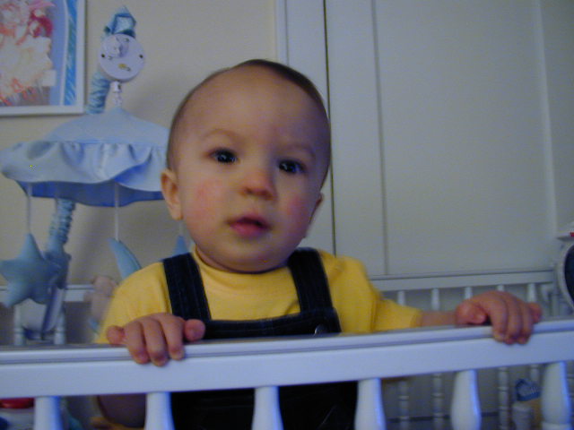 36150922.JPG, 6/15/2003, 48 kB