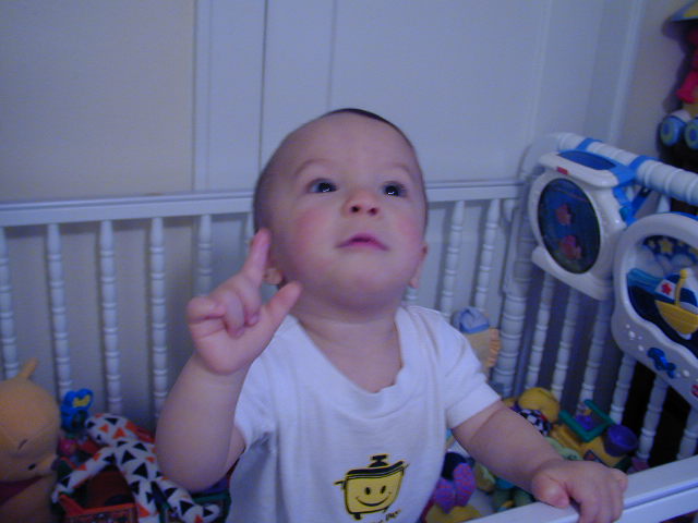36150923.JPG, 6/15/2003, 49 kB