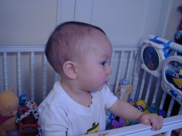 36150924.JPG, 6/15/2003, 50 kB