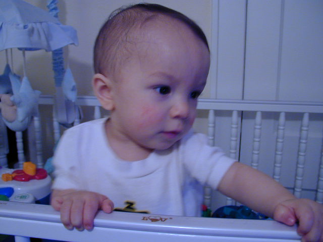 36150926.JPG, 6/15/2003, 47 kB