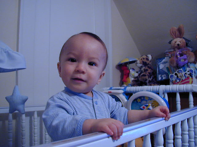 36160933.JPG, 6/16/2003, 52 kB