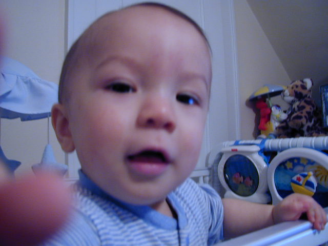 36160934.JPG, 6/16/2003, 49 kB