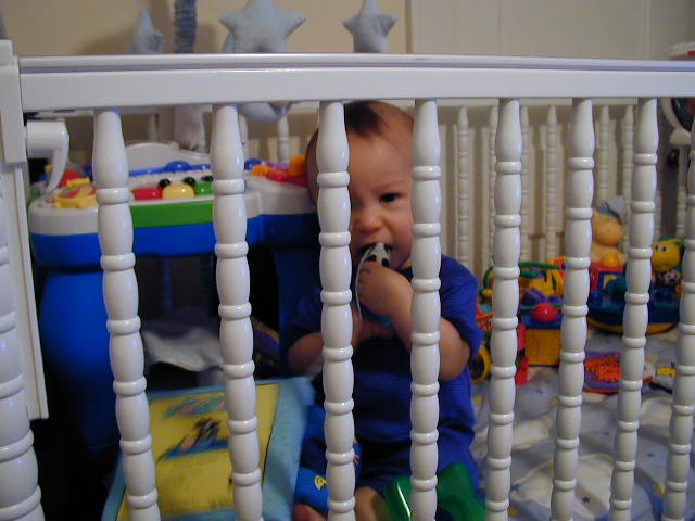 36170939.JPG, 6/17/2003, 54 kB