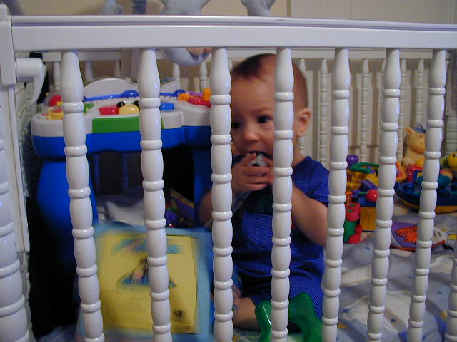 36170940.JPG, 6/17/2003, 55 kB