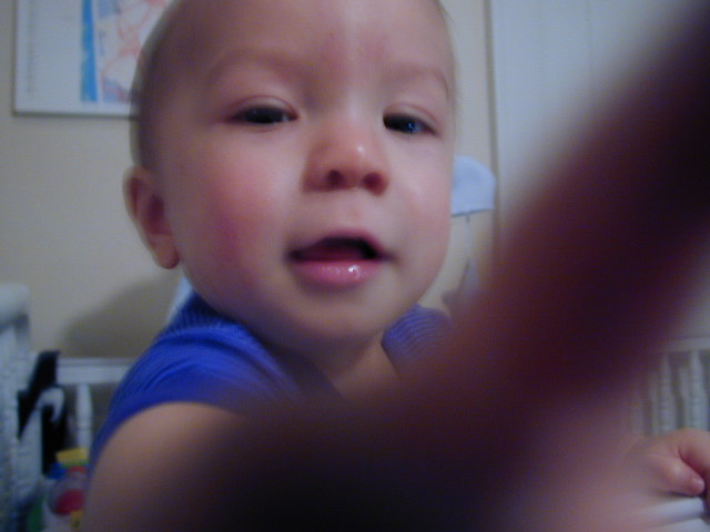 36170945.JPG, 6/17/2003, 50 kB