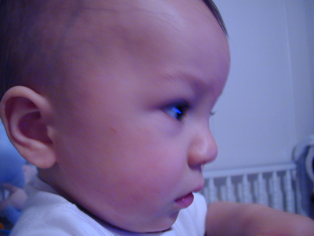 36190959.JPG, 6/19/2003, 55 kB