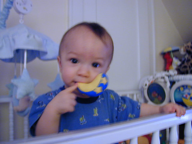 36240981.JPG, 6/24/2003, 47 kB