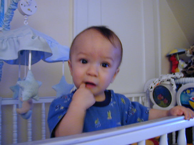 36240982.JPG, 6/24/2003, 49 kB