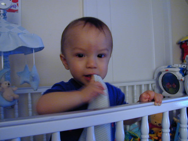 37081075.JPG, 7/8/2003, 49 kB