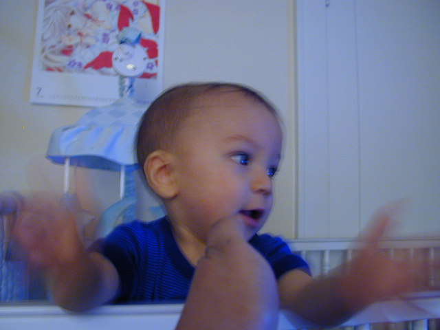 37081078.JPG, 7/8/2003, 52 kB