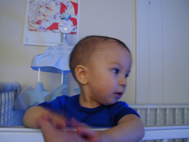 37081081.JPG, 7/8/2003, 53 kB