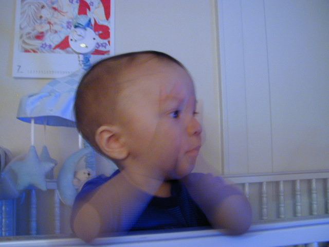37081087.JPG, 7/8/2003, 53 kB
