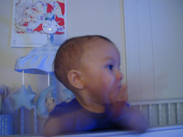 37081088.JPG, 7/8/2003, 52 kB
