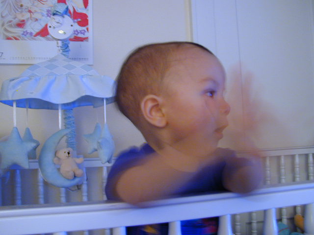 37081090.JPG, 7/8/2003, 46 kB