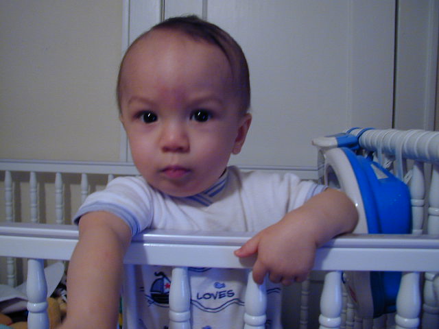 37151091.JPG, 7/15/2003, 47 kB