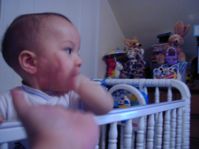 37151096.JPG, 7/15/2003, 47 kB