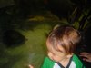 022 Jason08012004.jpg