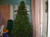 039 Jason12102003.jpg
